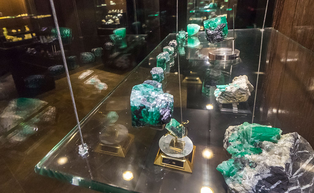 Salón de Especímenes